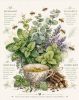Honey Goods - Breathe Easy Herbal Tea Gift Box
