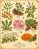 Honey Goods - Root & Bloom Herbal Tea Gift Box