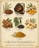 Honey Goods - Golden Hive Vitality Herbal Tea Gift box