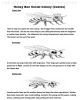 Tell Me About Honey Bees - Coloring Book