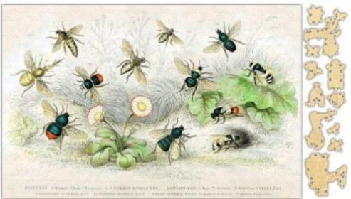 Honey Bee Species Jigsaw Puzzle 250PCS